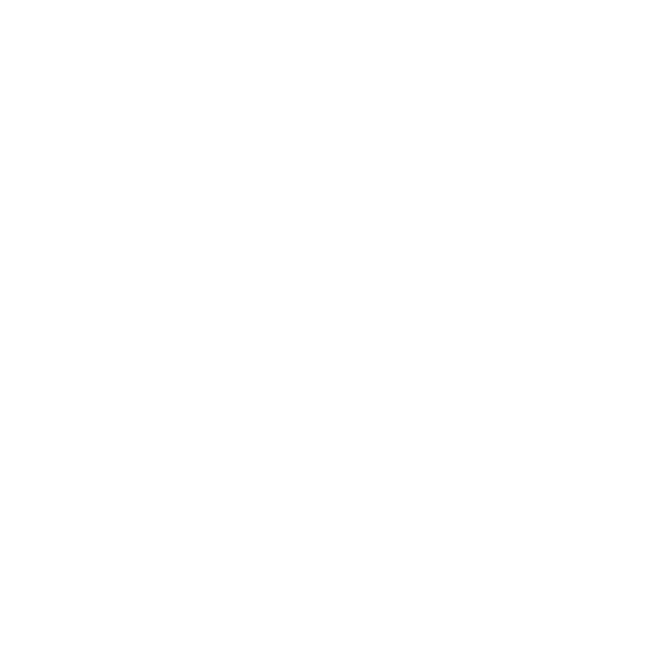 logo-lepicethik-blanc-600x600